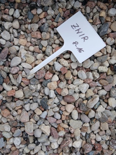zwir 8 16.jpg