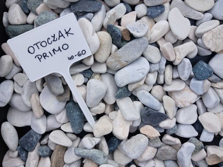 primo.jpg