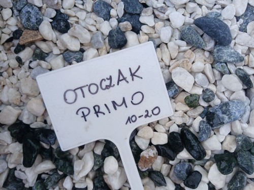 primo 10 20.jpg