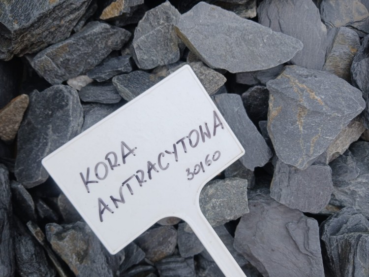 kora antracytowa.jpg